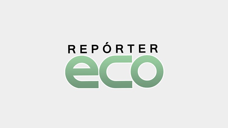 Reprter Eco faz reportagem sobre Corredor Ecolgico